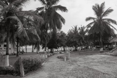 aedes_10_20200203_1646594831