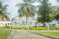 aedes_11_20200203_1901307933