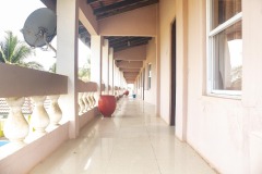 aedes_12_20200203_1105066035