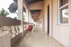 aedes_13_20200203_1672817340