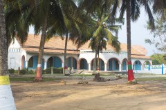 aedes_14_20200203_1245798928