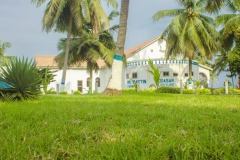 aedes_15_20200203_1496803130