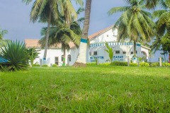 aedes_16_20200203_1683184756