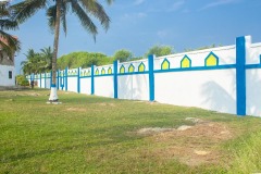 aedes_17_20200203_1607828223