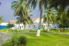 aedes_19_20200203_1423887865