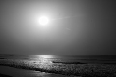 aedes_1_20200203_1839922382