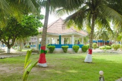 aedes_20_20200203_2060800628