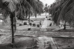 aedes_22_20200203_1072065509