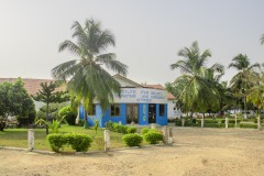 aedes_2_20200203_1852293194