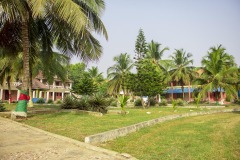 aedes_3_20200203_1721408171