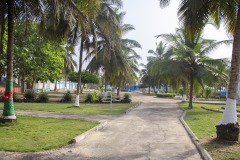 aedes_4_20200203_1921727626