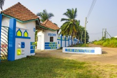 aedes_5_20200203_1140578630