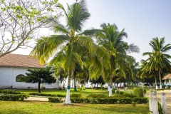 aedes_7_20200203_1824421111