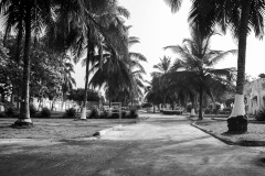 aedes_8_20200203_1709184185