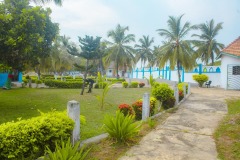 aedes_9_20200203_1987342337